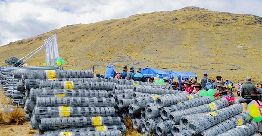 Construyen cercos permanentes para manejo sostenible de vicuñas en 19 comunidades en Apurímac Perú
