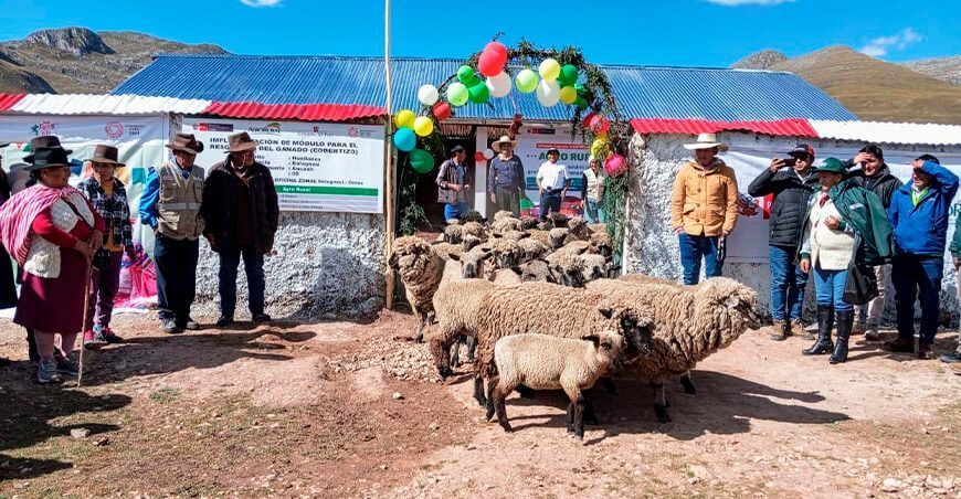Entregan cobertizos y kits agropecuarios para proteger ganado Ancash Perú