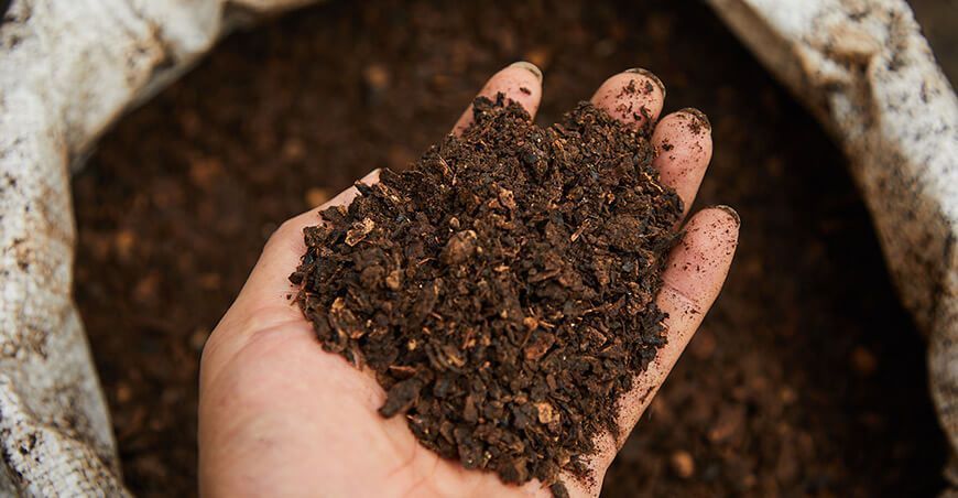 Cacaoteros producirán toneladas de abono orgánico o compost Vraem Devida Perú