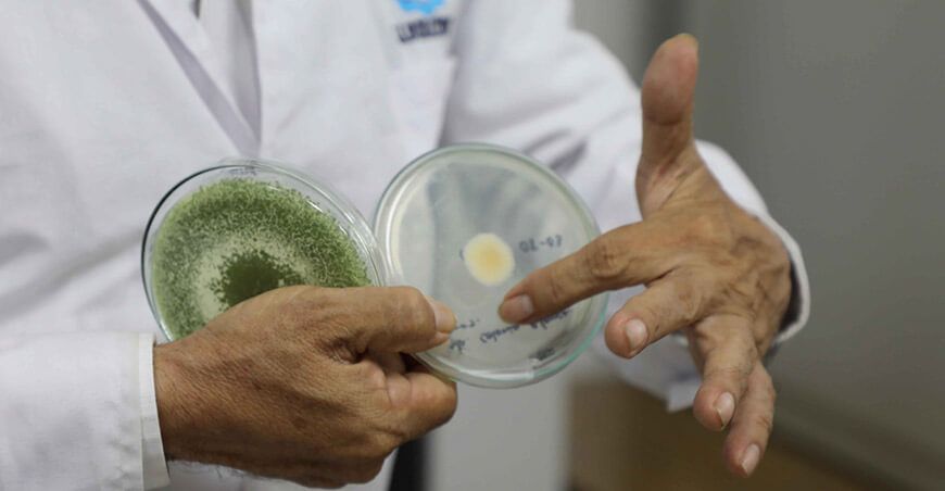 Concytec y Gobierno Regional de Piura organizan foro sobre Ciencia, tecnología e innovación Perú