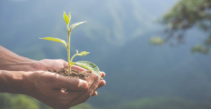 conservación de la biodiversidad peruana medio ambiente Perú