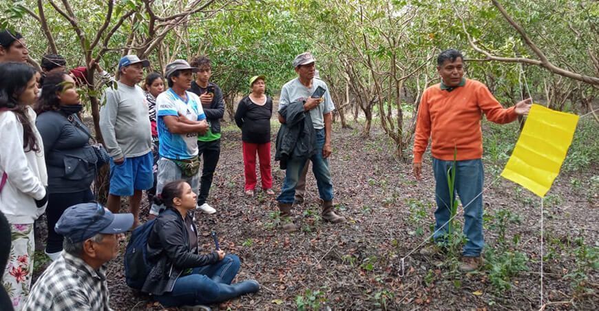 Productores se capacitan para el control biológico de plagas Ucayali Perú