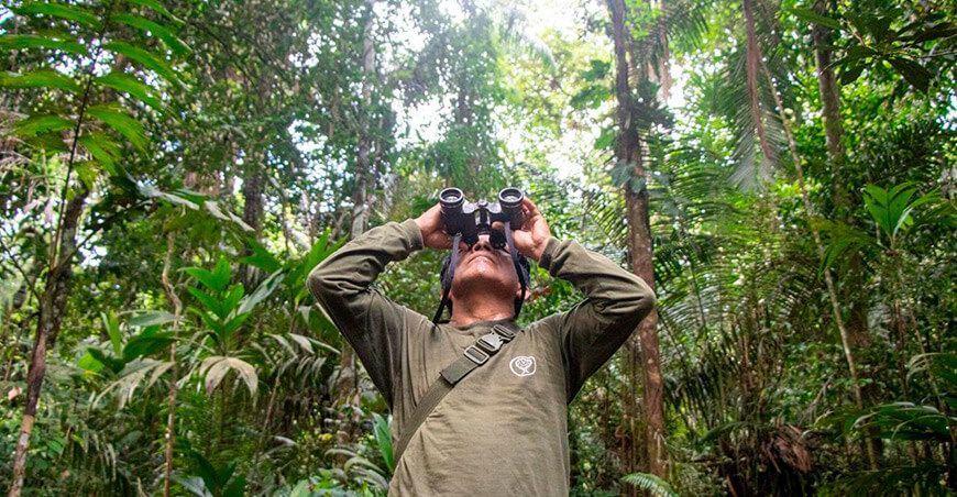Día Internacional de los Bosques Tropicales