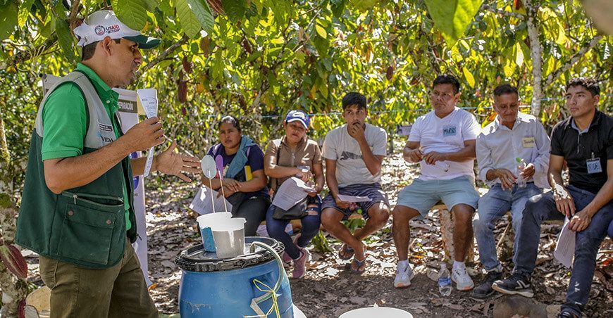 Capacitan a productores para mejorar cultivo de cacao San Martín Perú