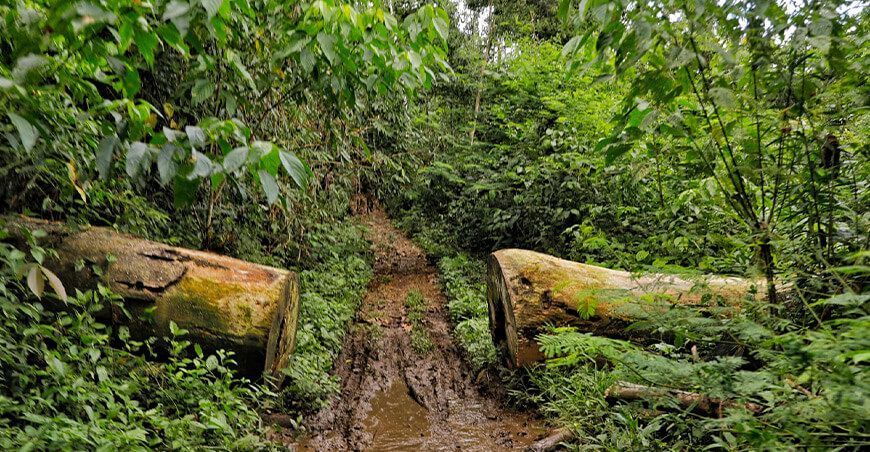 Mejorarán 30.31 km de caminos vecinales en Río Tambo Junín Perú