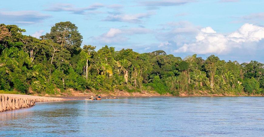 Día Internacional de los Bosques Tropicales