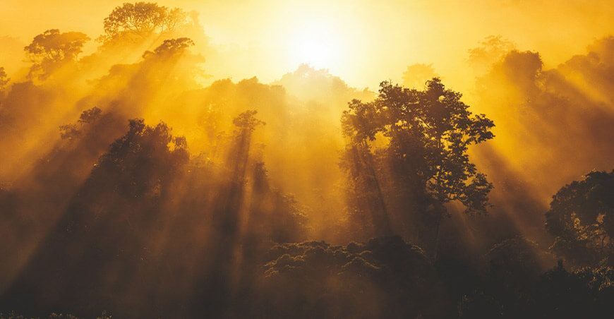Día Mundial del Medio Ambiente