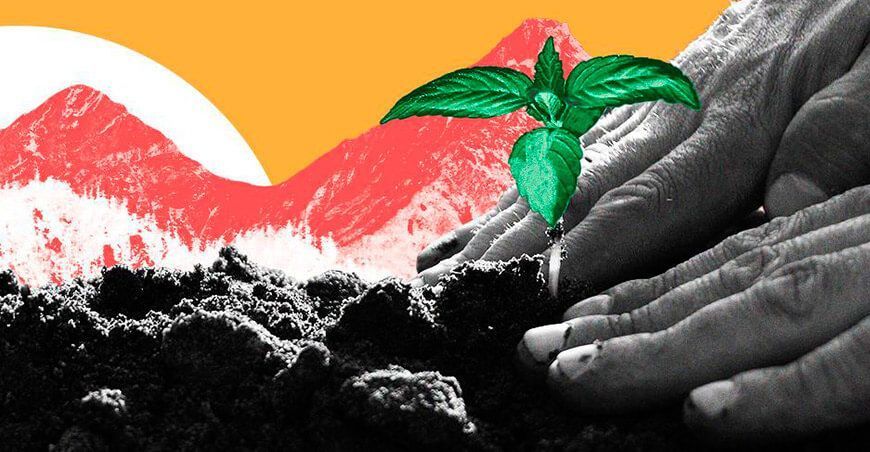 Día Mundial del Medio Ambiente restauración de ecosistemas