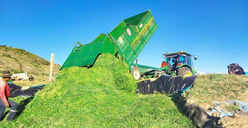 elaboran ensilado alimentación ganado vacuno Ayacucho Perú