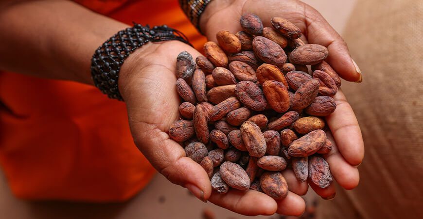 exportación de cacao grano Perú