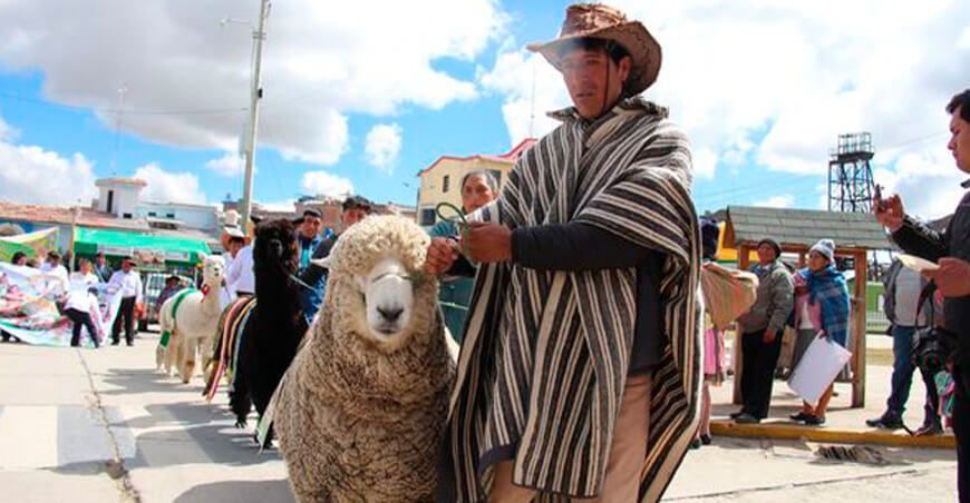 Expo Feria Nacional Agropecuaria Meseta del Bombón Ninacaca Pasco Perú