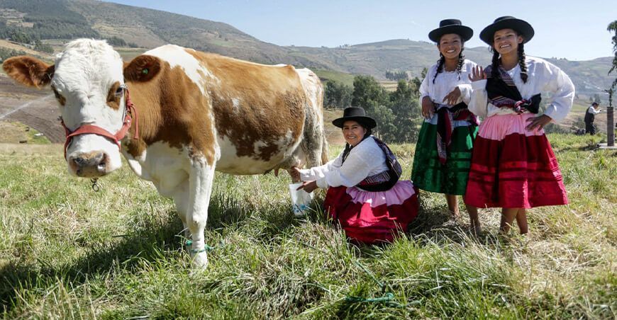ganaderas producción láctea leche Perú
