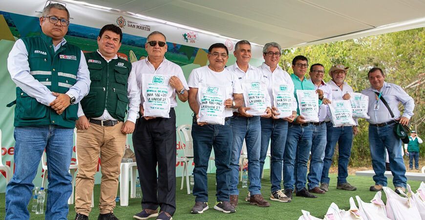 nueva variedad de arroz denominada INIA 516 LM1 - La Unión 23