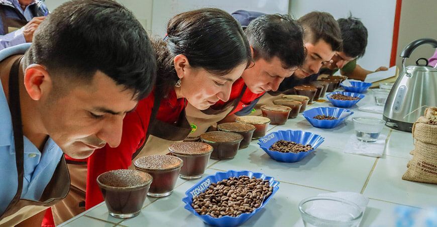 Instalan un laboratorio piloto de calidad sensorial para garantizar la calidad del café Piura
