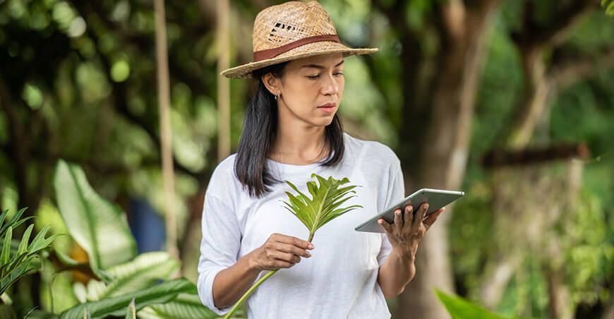 Descubre el impacto de la inteligencia artificial en la conservación de la biodiversidad peruana 