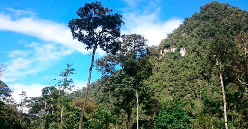 Loreto lidera como la región con mayor número de áreas de conservación privada
