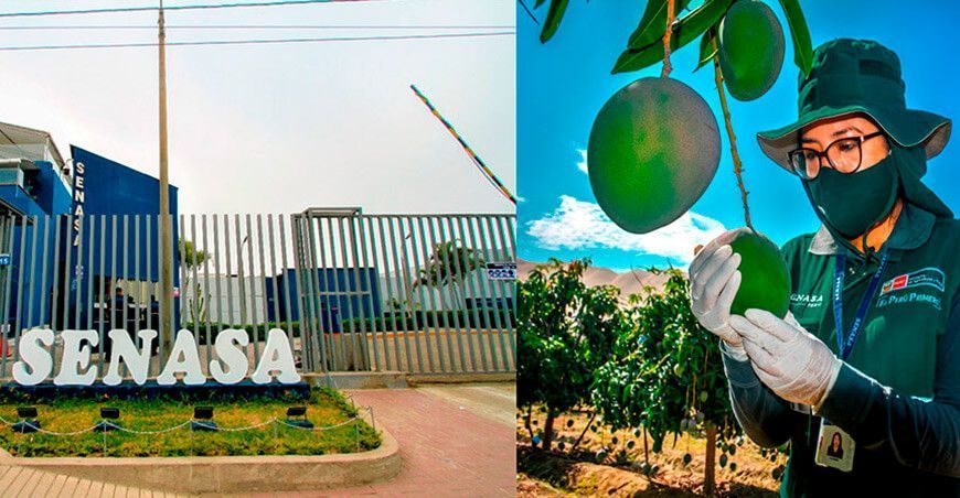 Senasa trabajadores seguridad alimentaria