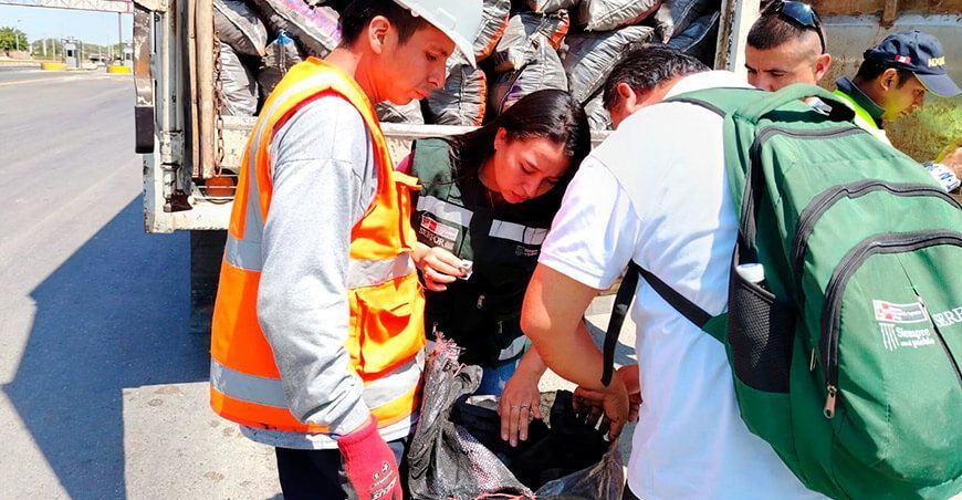Serfor decomisa carbón de algarrobo con guía de transporte forestal falsa en Piura