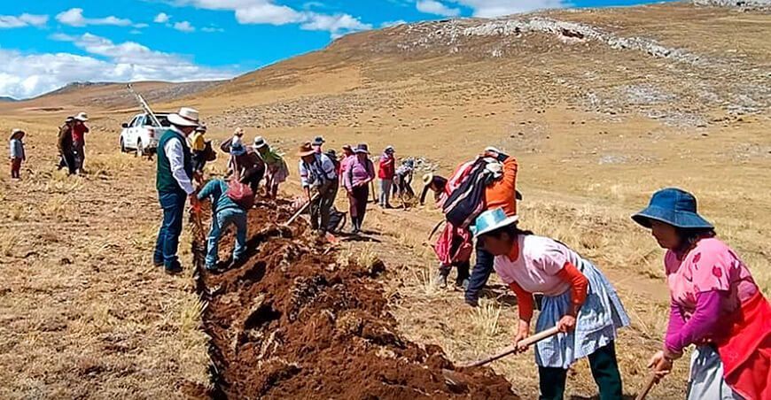Abrieron zanjas de infiltración en 30 hectáreas en Tingo Paccha Junín
