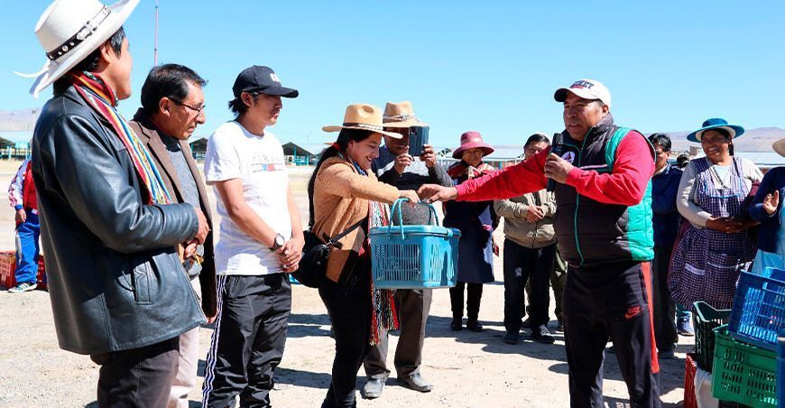 Municipalidad de Espinar impulsa la crianza de cuyes en Cusco