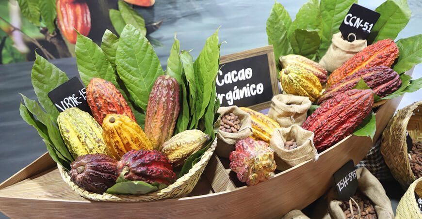 Festival Nacional del Cacao Nativo Pangoa Vraem 