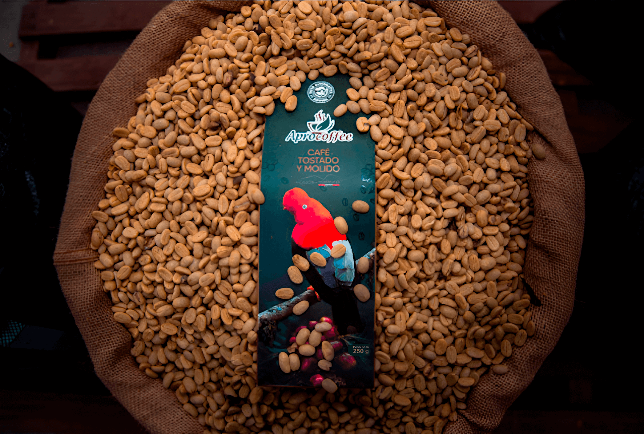 cafés de la Cooperativa Agraria Aprocaf Valle del Monzón Huánuco Perú Devida