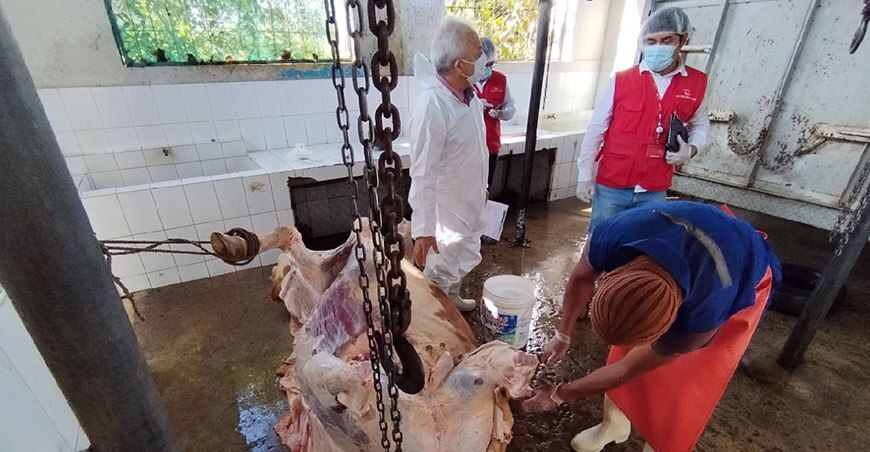 Camal Municipal de Rodríguez de Mendoza opera sin autorización sanitaria