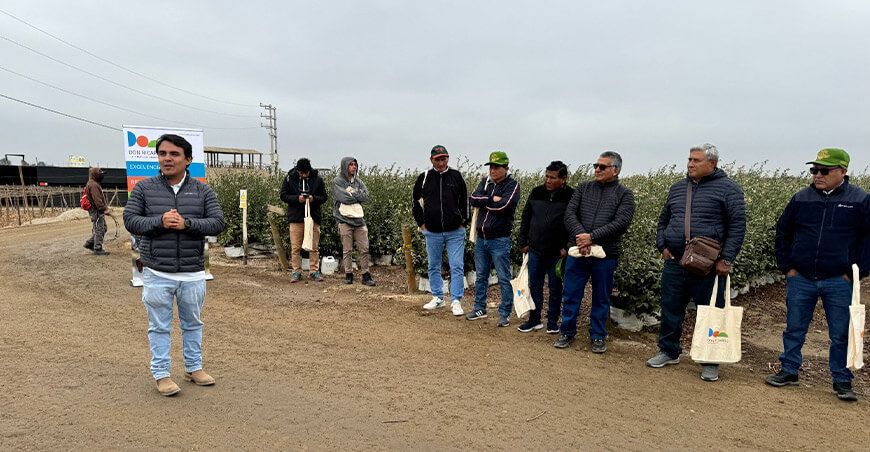 Agroexportadoras de Ica les abren las puertas a agricultores y estudiantes del valle de Tambo