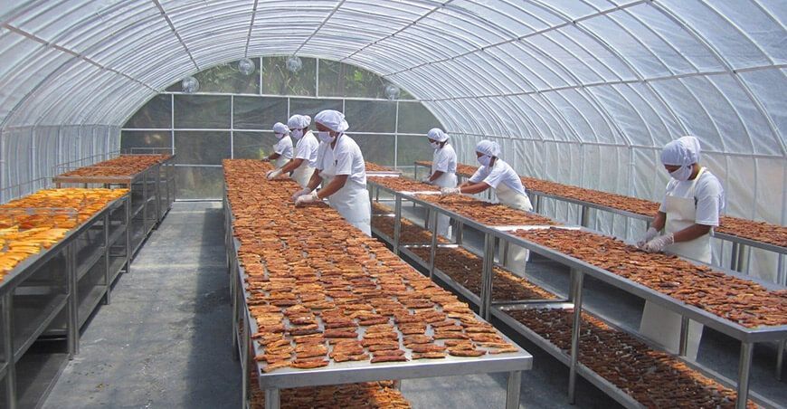 agroindustrialización deshidratado o secado de frutas Perú Produce