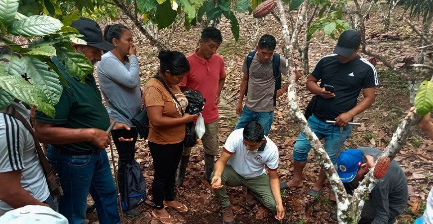 Devida capacita a productores de cacao de Pasco Perú