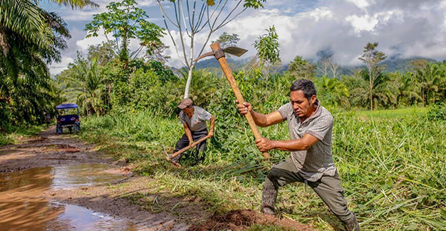 Devida promueve trabajo comunal para mejorar vías de accesos en San Martín Perú