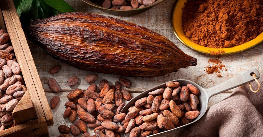 Día Mundial del Cacao