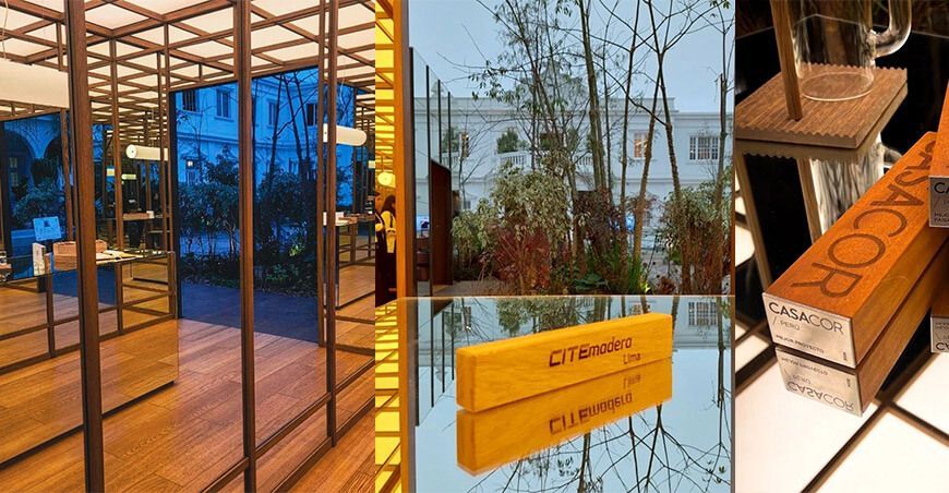 ITP gana 3 premios en Casacor 2024 por sus estructuras en madera sostenible El Bosque Aparece 