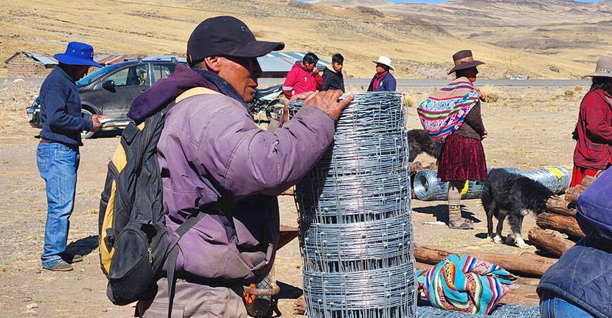 Distribuyen mallas y rollizos para instalar cercas ganaderas en Espinar en Cusco Perú