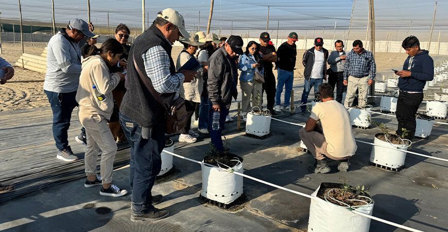 Agroexportadoras de Ica les abren las puertas a agricultores y estudiantes del valle de Tambo