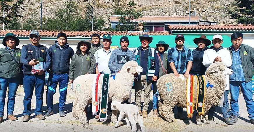 Feria Agropecuaria, Gastronómica y Encuentro de Productores de Canchayllo juzgamiento de ovinos Junín Perú
