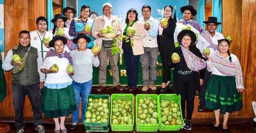 Ayacucho se prepara para el I Festival de la Chirimoya y sus derivados Ccollana 2024