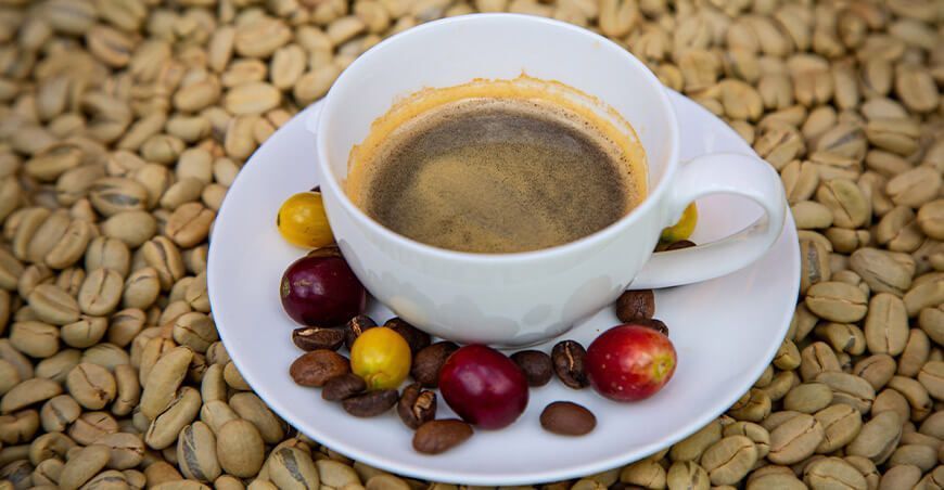 cafés especiales Perú Ficafé