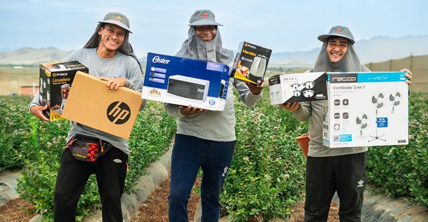 Trabajadores realizan más de 20 700 canjes de productos para beneficiar a sus familias en Chao Hortifrut Perú