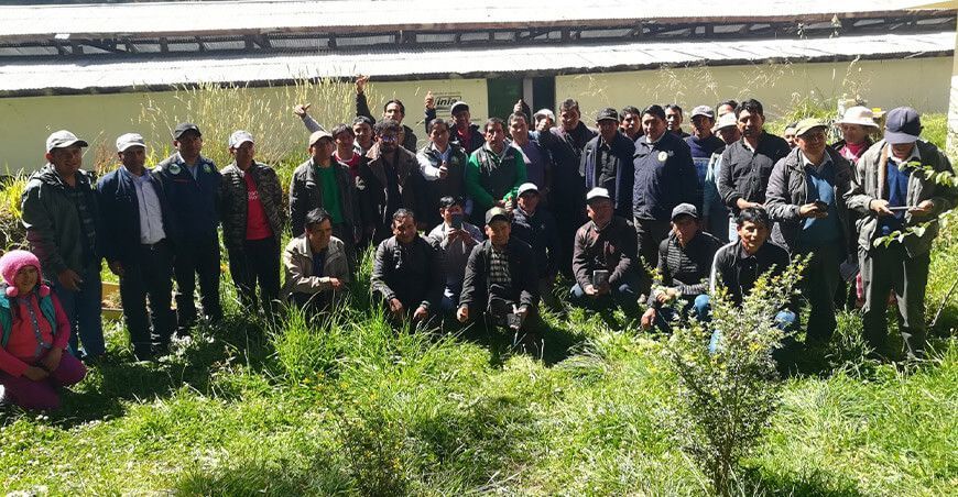 INIA capacita a productores de cultivo de maíz amiláceo en Apurímac Perú