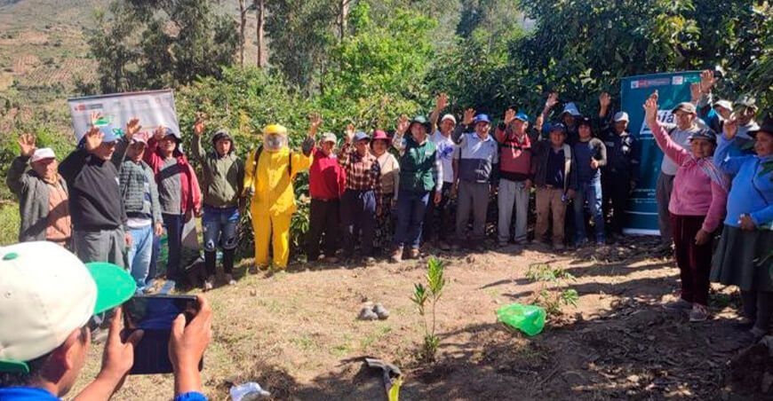 Capacitan a productores de Ocobamba en manejo agronómico del palto Apurímac INIA Perú