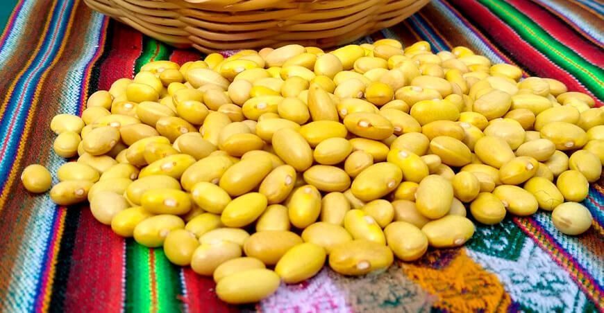 exportación de menestras peruanas Perú