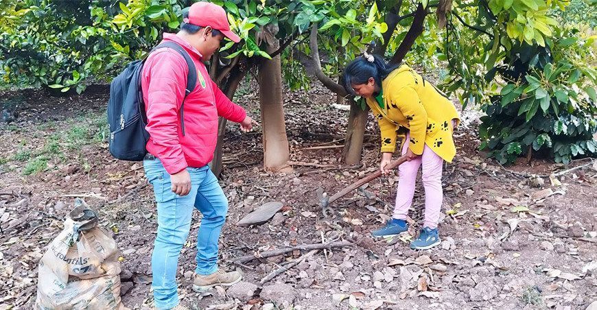 labores de control de la mosca de la fruta Ayacucho Perú