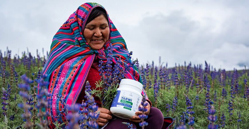 polvo instantáneo de tarwi Perú