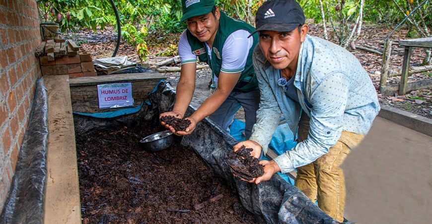 en Ayacucho Productores de cacao usan abono orgánico humus lombriz con capitación del Provraem Perú