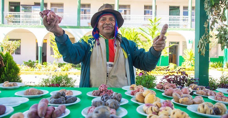 Expo Perú Los Andes, Ayacucho productor de papa