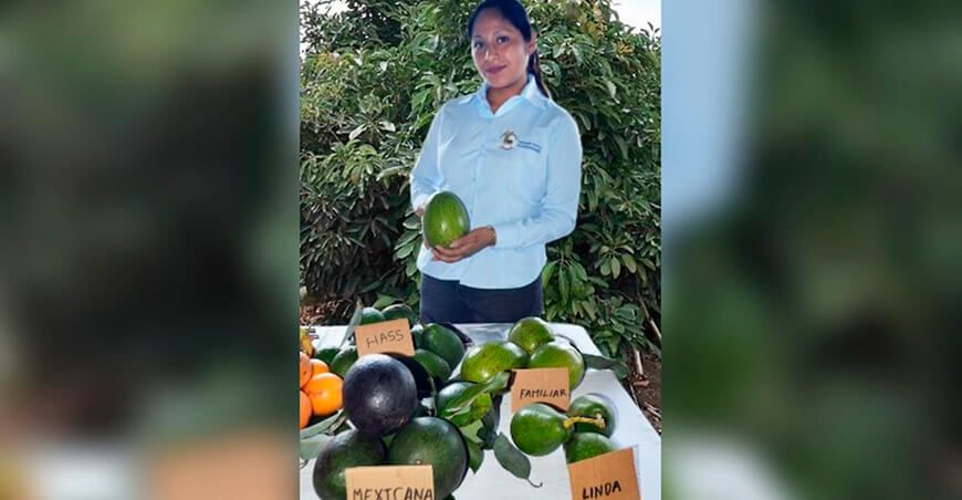 Patsy Rojas Gavilán y su visión emprendedora en Huancabamba, Oxapampa cultivo de paltas Perú