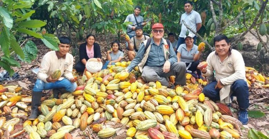 productores de cultivo de cacao Perú