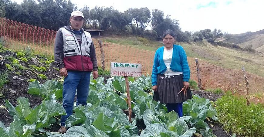productores de hortalizas Haku Wiñay Foncodes Perú
