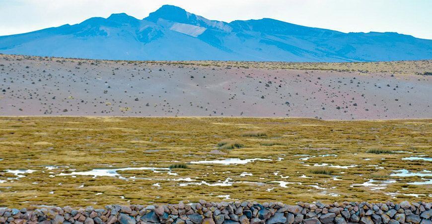 Inicia construcción de qochas para la recuperación de bofedales en Tarata